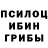 Галлюциногенные грибы Psilocybe Solomon Bukhaidze