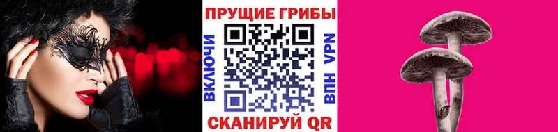 Галлюциногенные грибы мухоморы  Вытегра 